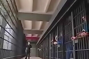 belladonna jail gangbang