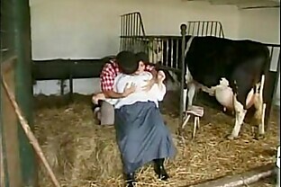 Spermageile-Kuh-Fotzen.-Porno,-DE-(UPLOAD-PornoLand)