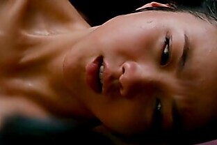Chinese Sex (part 2) 4 min